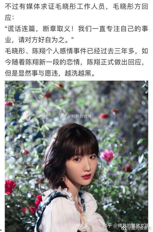 吃瓜娱乐圈大燕子,大燕子吃瓜记